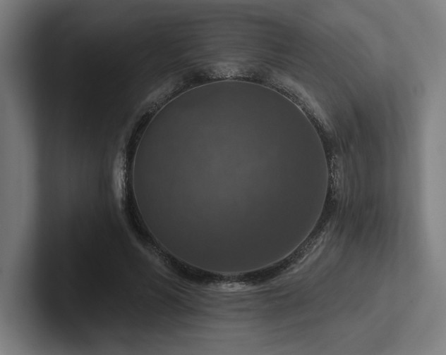 X0000102770590200808181131