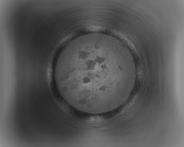 X0000102770591200808181131