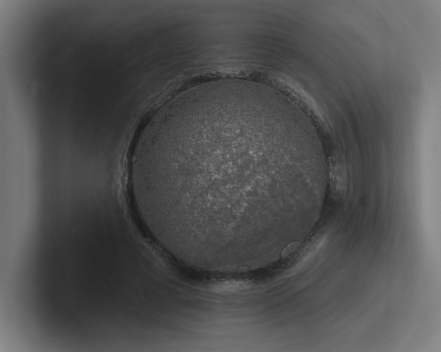 X0000102770593200808181131