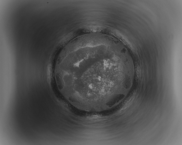 X0000102770594200808181131