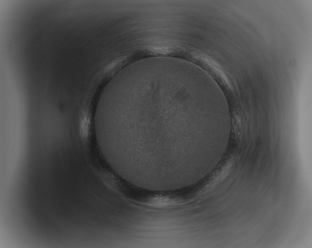 X0000102770596200808181131