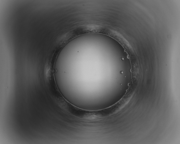 X0000102770597200808181131