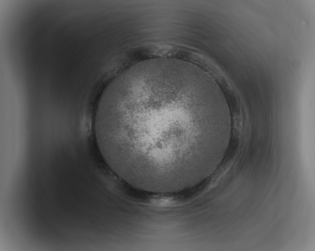 X0000102770602200808181131