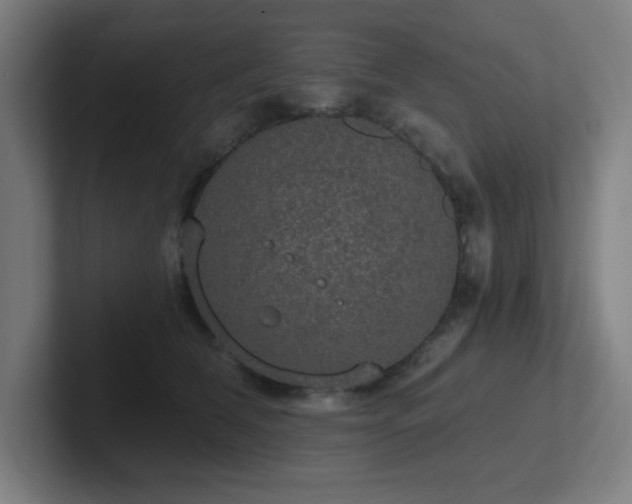 X0000102770612200808181130