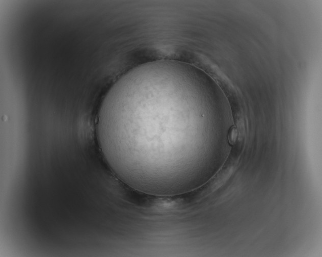 X0000102770613200808181130