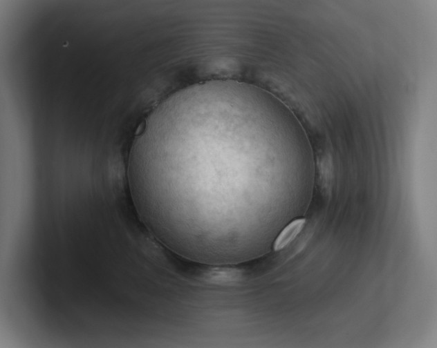 X0000102770617200808181130