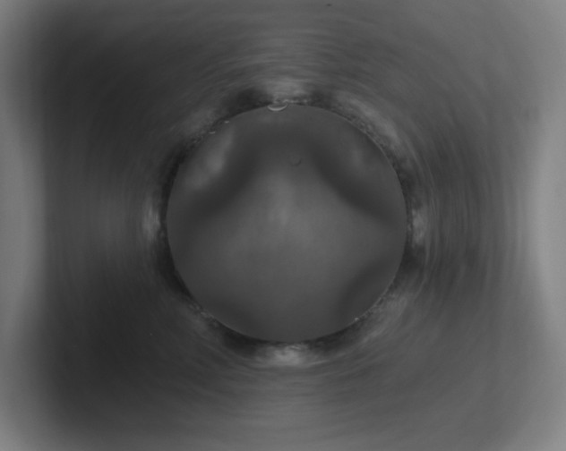 X0000102770618200808181130