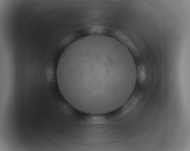 X0000102770619200808181130