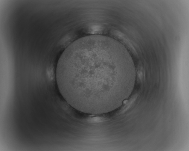 X0000102770620200808181130