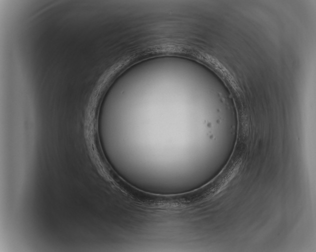 X0000102770625200808181130