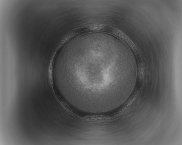 X0000102770626200808181130