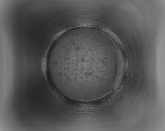 X0000102770628200808181130