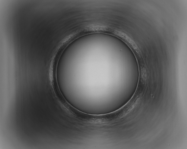 X0000102770629200808181130