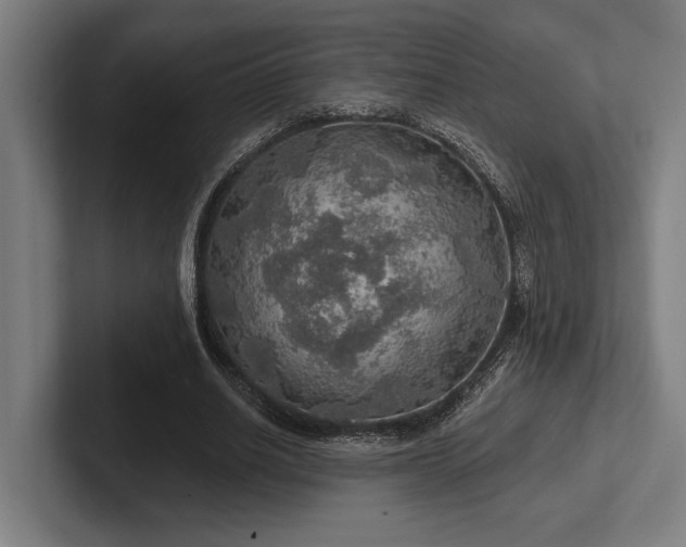 X0000102770630200808181130