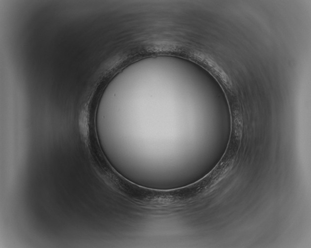 X0000102770631200808181130