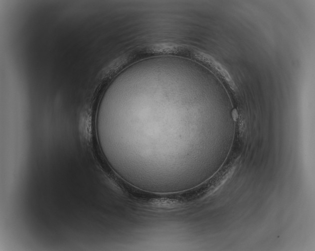 X0000102770633200808181130