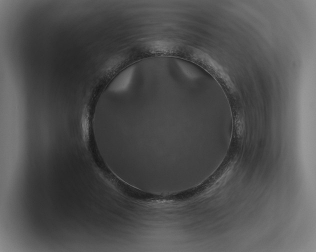 X0000102770637200808181130