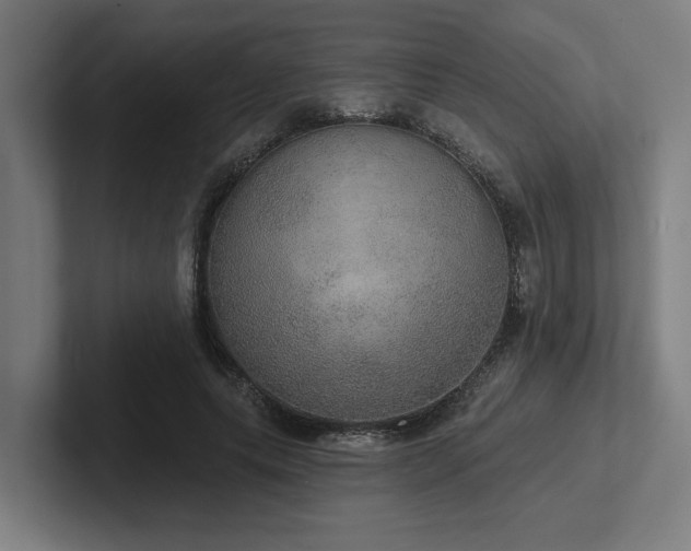 X0000102770639200808181130