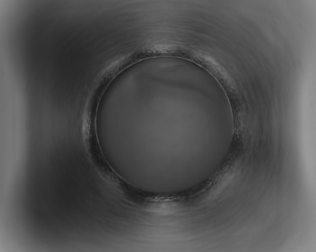 X0000102770640200808181130