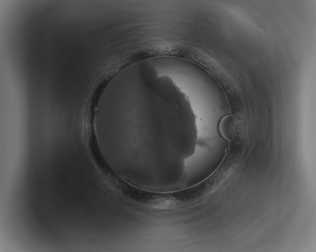 X0000102770642200808181130