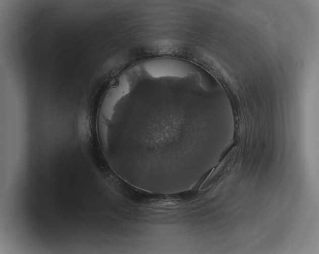 X0000102770643200808181130