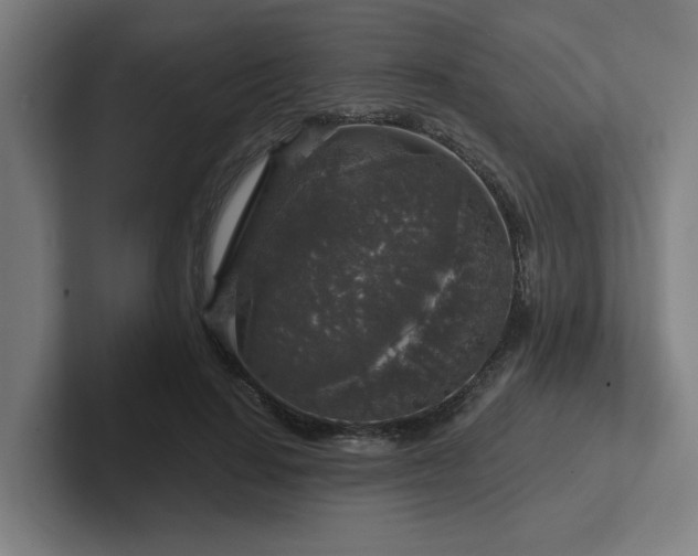 X0000102770644200808181130