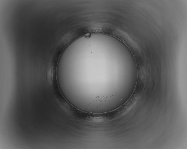 X0000102770645200808181130