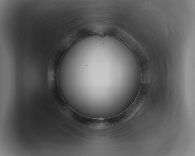 X0000102770646200808181130