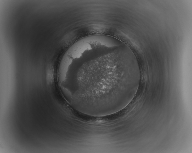 X0000102770647200808181130