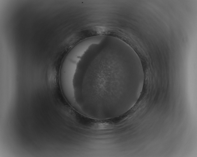 X0000102770650200808181130