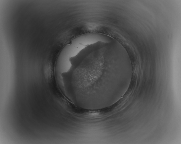 X0000102770651200808181130