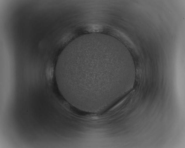 X0000102770652200808181130