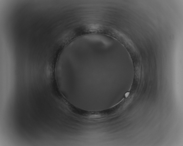 X0000102770653200808181130