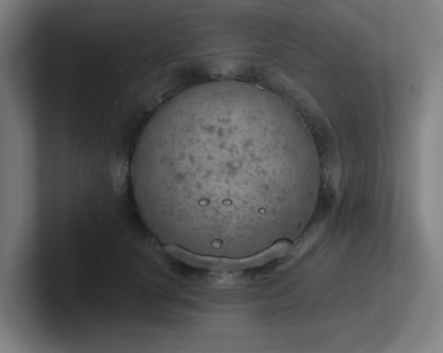 X0000102770660200808181130