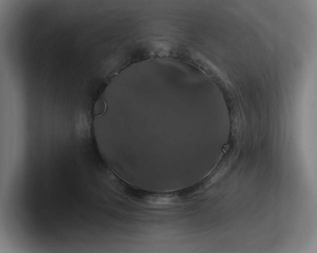 X0000102770661200808181130