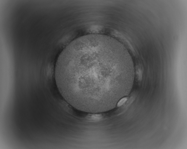 X0000102770665200808181130