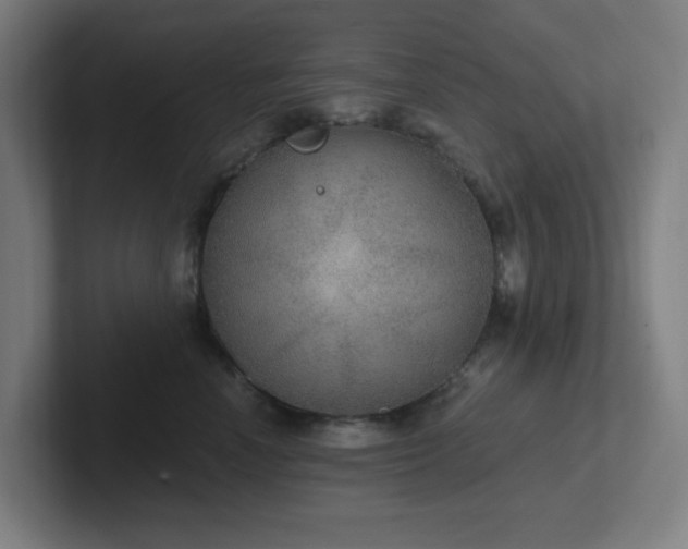 X0000102770666200808181130