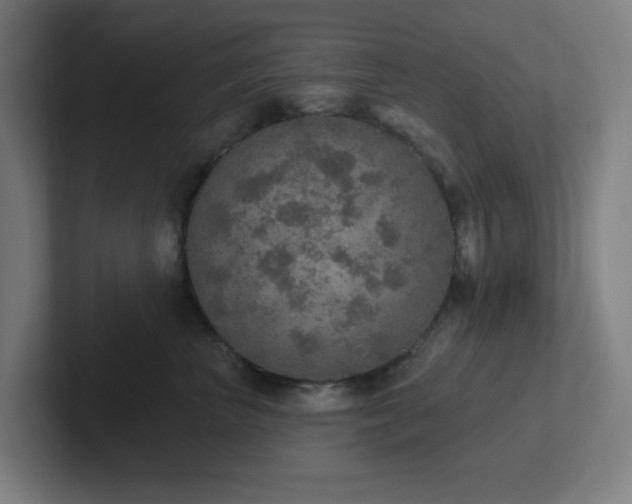 X0000102770667200808181130