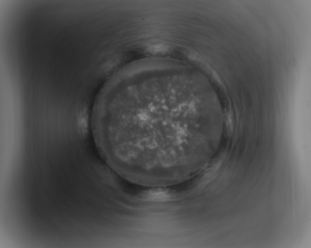 X0000102770668200808181130