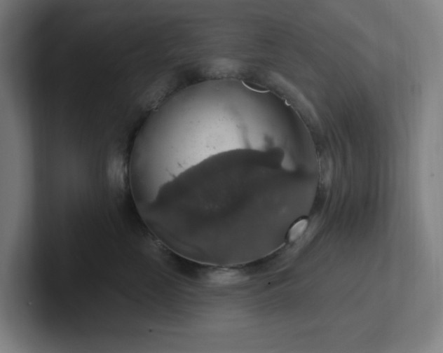 X0000102770669200808181130