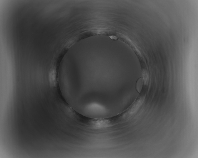 X0000102770670200808181130