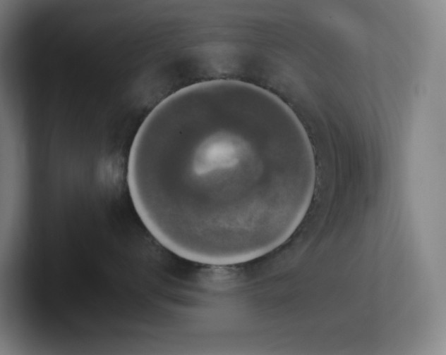 X0000102770672200808181130