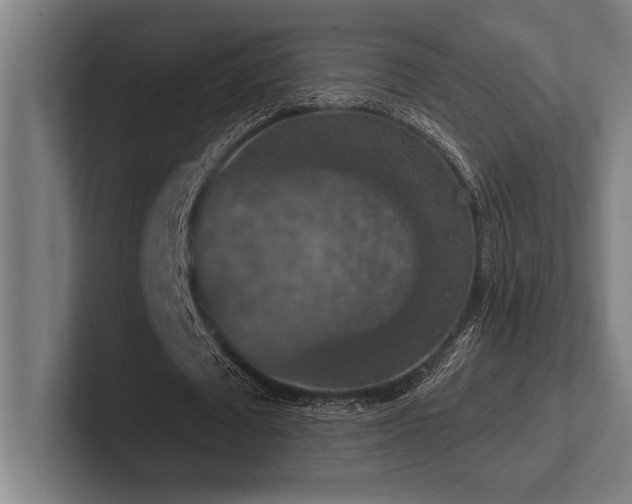 X0000102770673200808181130