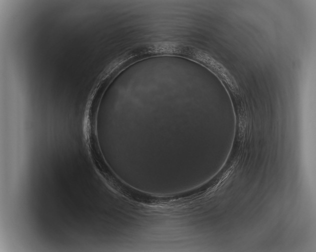 X0000102770674200808181130