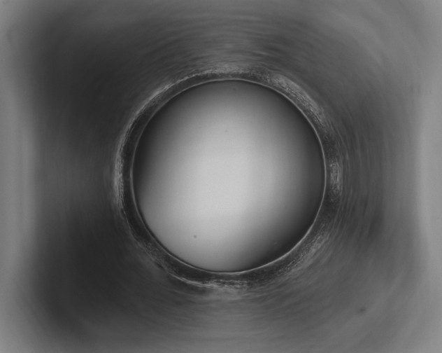 X0000102770676200808181130