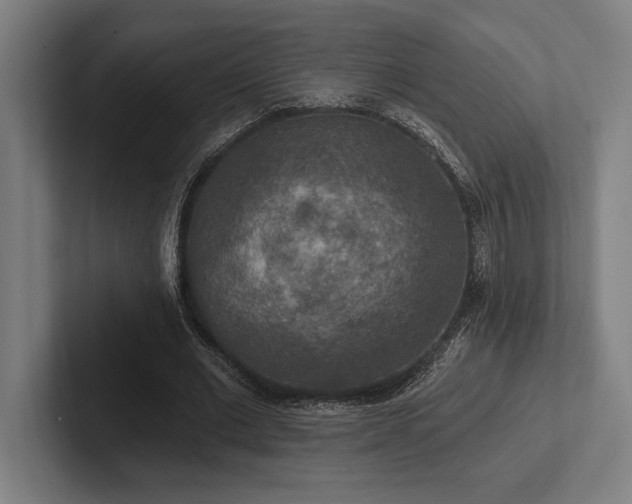 X0000102770677200808181130