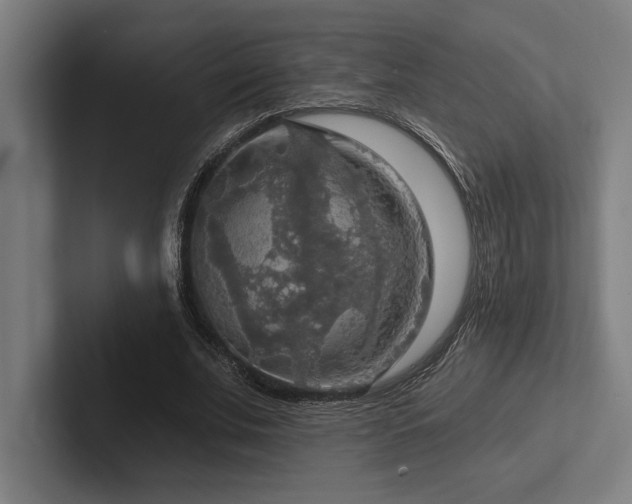 X0000102770679200808181130