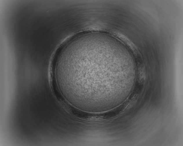 X0000102770680200808181130