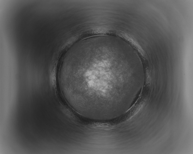 X0000102770681200808181130