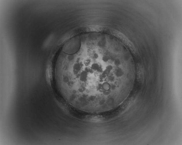 X0000102770683200808181130